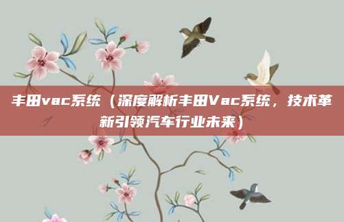丰田vac系统（深度解析丰田Vac系统，技术革新引领汽车行业未来）