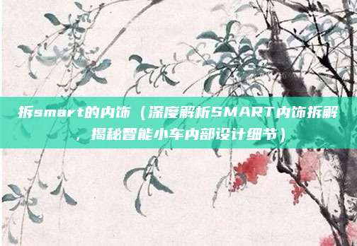 拆smart的内饰(深度解析SMART内饰拆解,揭秘智能小车内部设计细节)