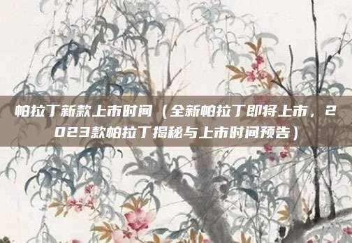 帕拉丁新款上市时间（全新帕拉丁即将上市，2023款帕拉丁揭秘与上市时间预告）