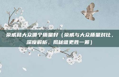 荣威和大众哪个质量好(荣威与大众质量对比,深度解析,揭秘谁更胜一筹)