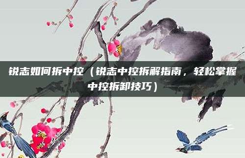 锐志如何拆中控（锐志中控拆解指南，轻松掌握中控拆卸技巧）