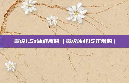 翼虎1.5t油耗高吗(翼虎油耗15正常吗)