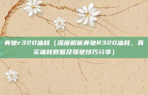 奔驰r320油耗（深度解析奔驰R320油耗，真实油耗数据及驾驶技巧分享）