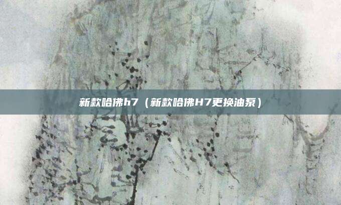 新款哈佛h7(新款哈佛H7更换油泵)