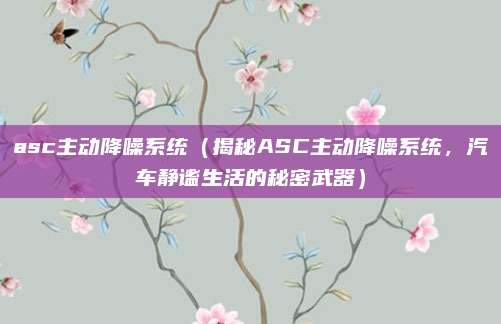 asc主动降噪系统(揭秘ASC主动降噪系统,汽车静谧生活的秘密武器)