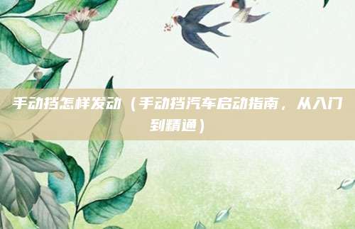手动挡怎样发动（手动挡汽车启动指南，从入门到精通）