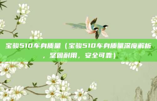 宝骏510车身质量(宝骏510车身质量深度解析,坚固耐用,安全可靠)