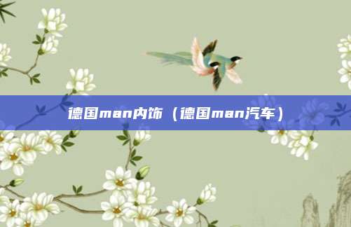 德国man内饰(德国man汽车)