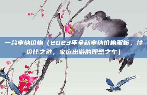 一台塞纳价格（2023年全新塞纳价格解析，性价比之选，家庭出游的理想之车）