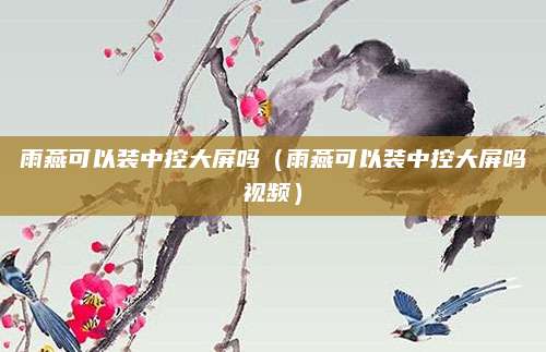 雨燕可以装中控大屏吗(雨燕可以装中控大屏吗视频)