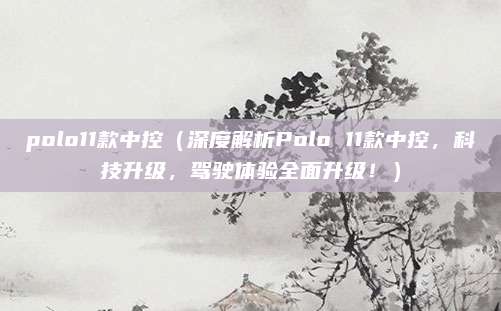 polo11款中控（深度解析Polo 11款中控，科技升级，驾驶体验全面升级！）