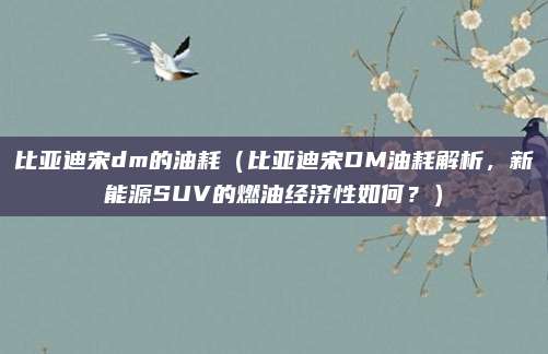 比亚迪宋dm的油耗（比亚迪宋DM油耗解析，新能源SUV的燃油经济性如何？）