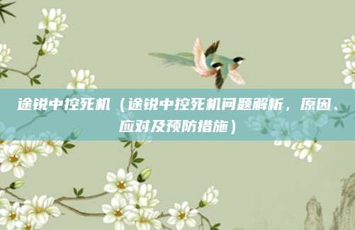 途锐中控死机（途锐中控死机问题解析，原因、应对及预防措施）