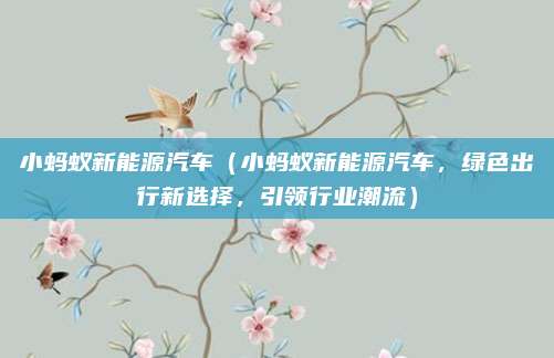 小蚂蚁新能源汽车(小蚂蚁新能源汽车,绿色出行新选择,引领行业潮流)