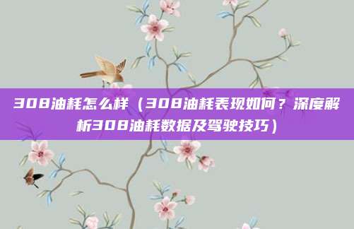 308油耗怎么样(308油耗表现如何?深度解析308油耗数据及驾驶技巧)