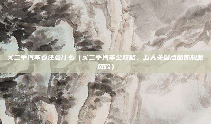 买二手汽车要注意什么(买二手汽车全攻略,五大关键点助你规避风险)