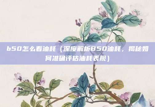 b50怎么看油耗(深度解析B50油耗,揭秘如何准确评估油耗表现)