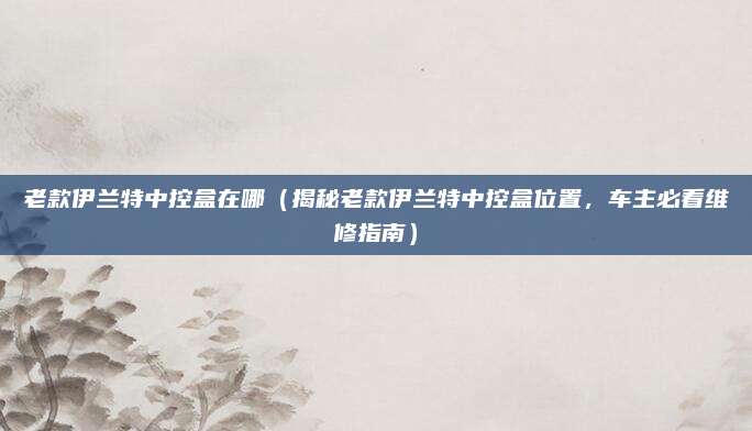 老款伊兰特中控盒在哪（揭秘老款伊兰特中控盒位置，车主必看维修指南）