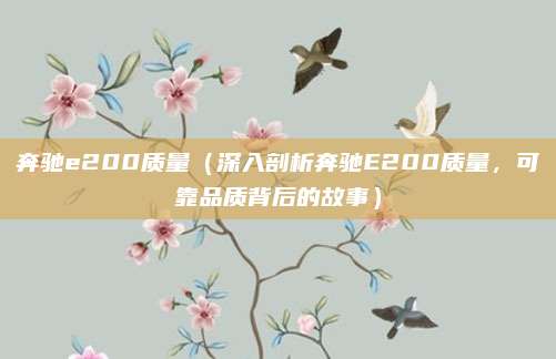 奔驰e200质量(深入剖析奔驰E200质量,可靠品质背后的故事)