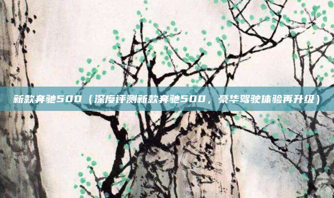 新款奔驰500(深度评测新款奔驰500,豪华驾驶体验再升级)