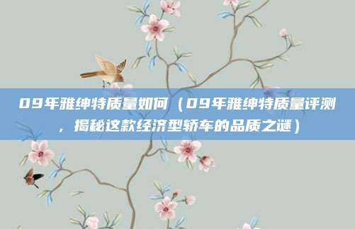 09年雅绅特质量如何（09年雅绅特质量评测，揭秘这款经济型轿车的品质之谜）