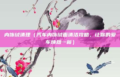 内饰绒清理（汽车内饰绒面清洁攻略，让你的爱车焕然一新）