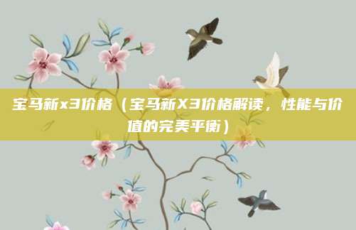 宝马新x3价格（宝马新X3价格解读，性能与价值的完美平衡）
