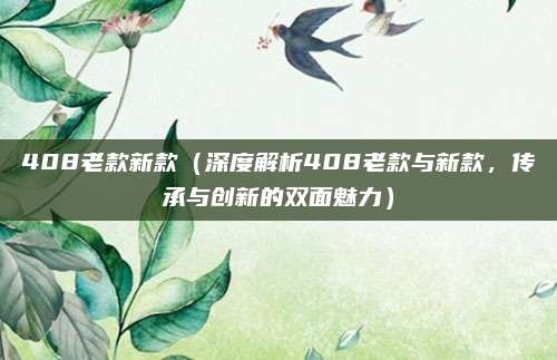 408老款新款(深度解析408老款与新款,传承与创新的双面魅力)