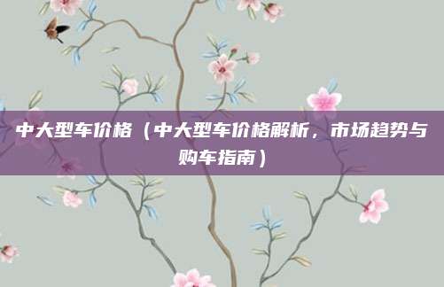 中大型车价格（中大型车价格解析，市场趋势与购车指南）