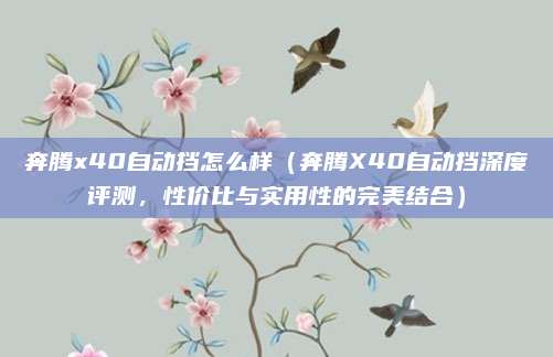 奔腾x40自动挡怎么样(奔腾X40自动挡深度评测,性价比与实用性的完美结合)