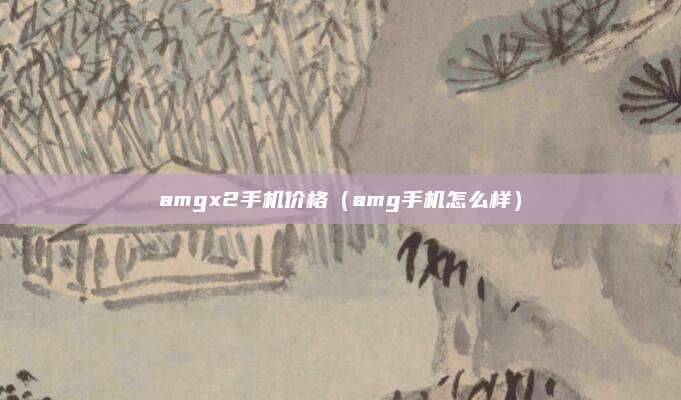 amgx2手机价格(amg手机怎么样)