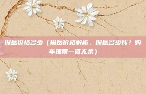 探岳价格多少(探岳价格解析,探岳多少钱?购车指南一览无余)
