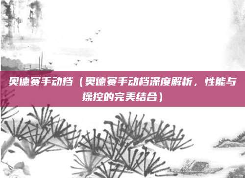 奥德赛手动档(奥德赛手动档深度解析,性能与操控的完美结合)
