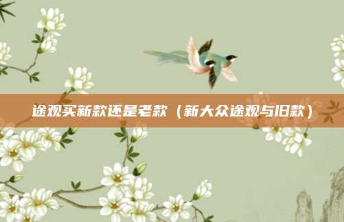 途观买新款还是老款(新大众途观与旧款)