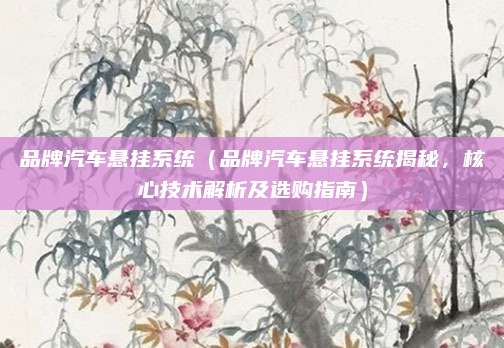 品牌汽车悬挂系统(品牌汽车悬挂系统揭秘,核心技术解析及选购指南)