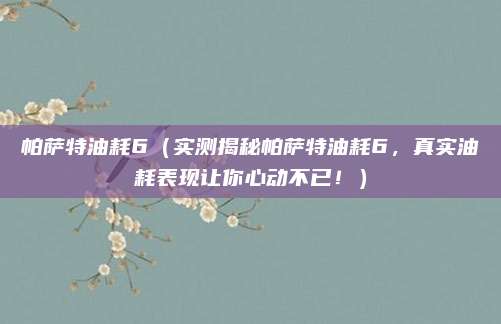 帕萨特油耗6(实测揭秘帕萨特油耗6,真实油耗表现让你心动不已!)