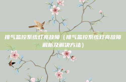 排气监控系统灯亮故障(排气监控系统灯亮故障解析及解决方法)