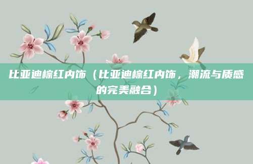 比亚迪棕红内饰(比亚迪棕红内饰,潮流与质感的完美融合)