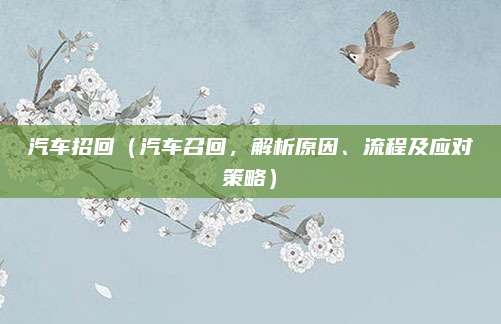 汽车招回(汽车召回,解析原因、流程及应对策略)