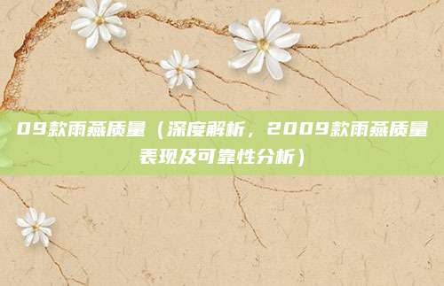 09款雨燕质量(深度解析,2009款雨燕质量表现及可靠性分析)