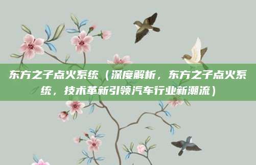 东方之子点火系统(深度解析,东方之子点火系统,技术革新引领汽车行业新潮流)