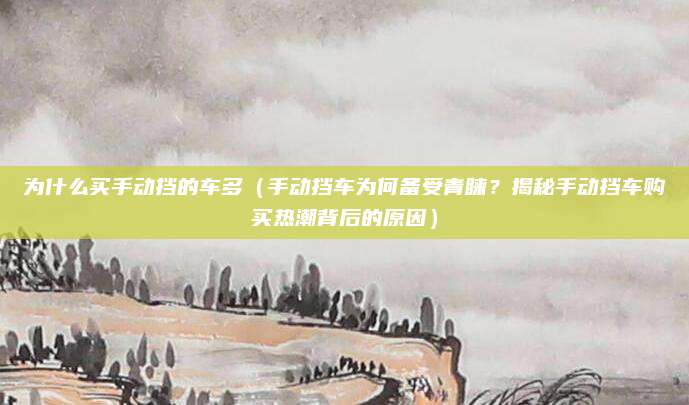 为什么买手动挡的车多(手动挡车为何备受青睐?揭秘手动挡车购买热潮背后的原因)