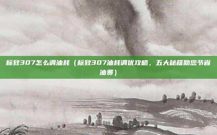 标致307怎么调油耗(标致307油耗调优攻略,五大秘籍助您节省油费)