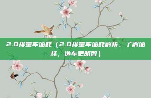 2.0排量车油耗（2.0排量车油耗解析，了解油耗，选车更明智）