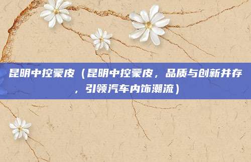 昆明中控蒙皮(昆明中控蒙皮,品质与创新并存,引领汽车内饰潮流)