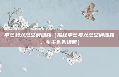 单蒸和双蒸空调油耗(揭秘单蒸与双蒸空调油耗,车主选购指南)