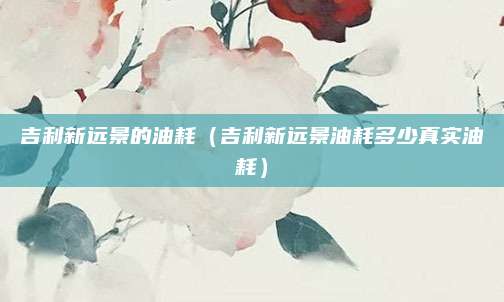 吉利新远景的油耗(吉利新远景油耗多少真实油耗)