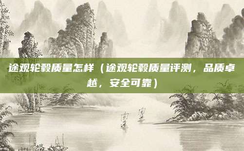 途观轮毂质量怎样(途观轮毂质量评测,品质卓越,安全可靠)