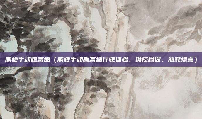 威驰手动跑高速（威驰手动版高速行驶体验，操控稳健，油耗惊喜）