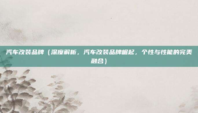 汽车改装品牌(深度解析,汽车改装品牌崛起,个性与性能的完美融合)